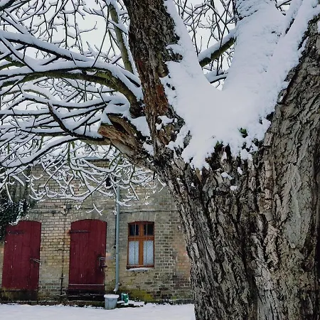 Zum Alten Mueller-jaeger לובנאו