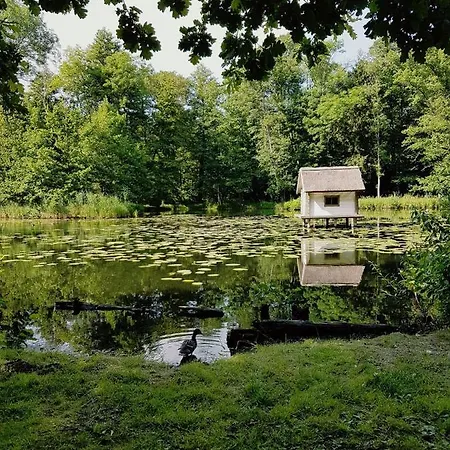 Zum Alten Mueller-jaeger דירה